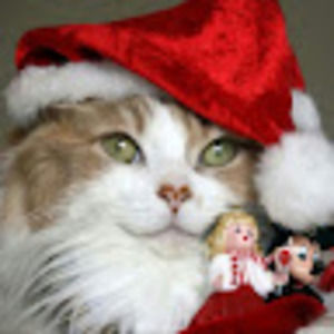 Meet your Posher, Benita